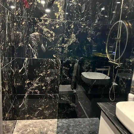 公寓 Luxurynight-spa 斯特拉斯堡